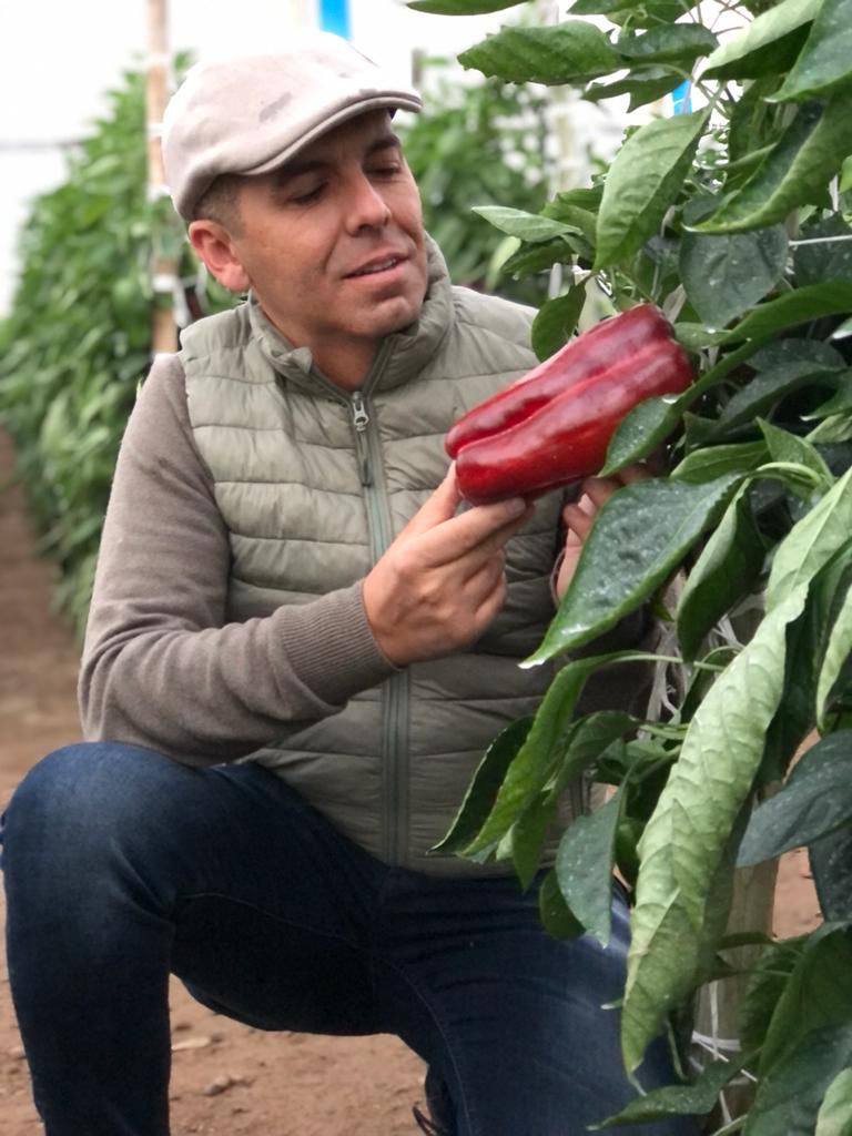 jose-manuel-pimiento-kalma